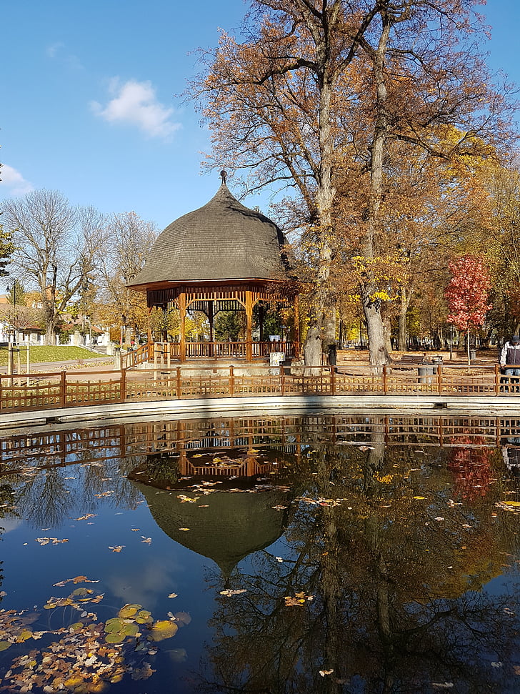 phản xạ trong công viên, phong cảnh mùa thu, phản ánh về nước