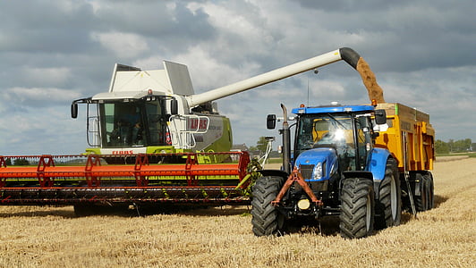 harvest, grain, combine, arable farming, harvest time, agricultural vehicles, field