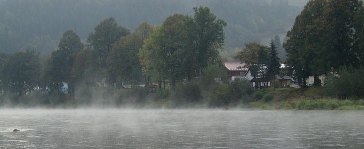 川, 水, 自然, 風景, ポーランド, 霧の中, フォレスト