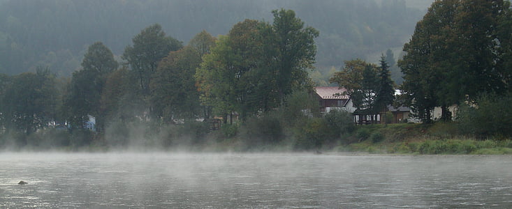 fiume, acqua, natura, paesaggio, Polonia, la nebbia, foresta