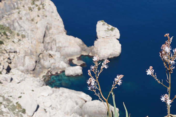 Mallorca, Cap formentor, natuur, Rock, bloemen, zee