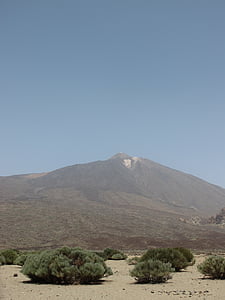 Teide, Tenerife, dağ, Kanarya Adaları, doğa, çalılar, çöl