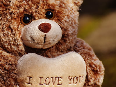 泰迪, 爱, 玩具熊, 毛绒, 甜, 熊, 可爱