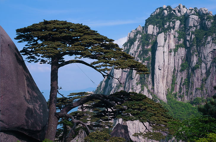 welcome song, huangshan, the celestial capital peak