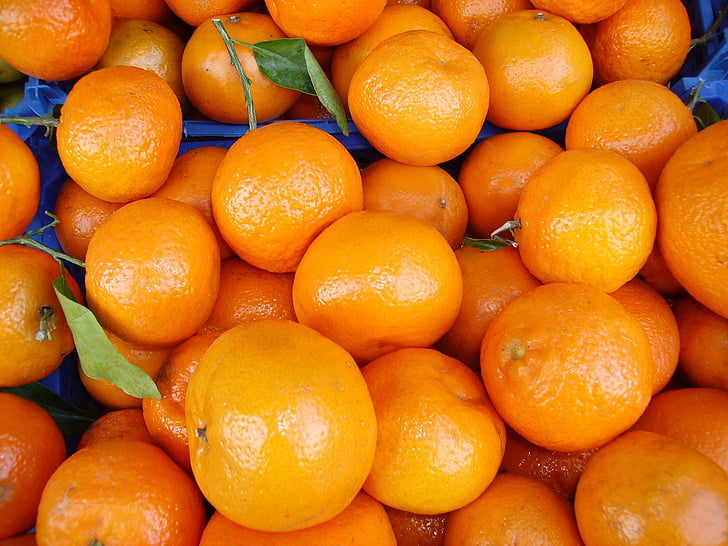 oranges, food, fruit, vitamins, citrus fruit, fruits, fruity