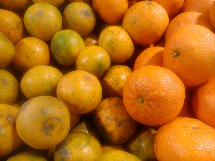 oranžová, ovoce, citron, citrusové, čerstvé, šťavnaté, zdravé