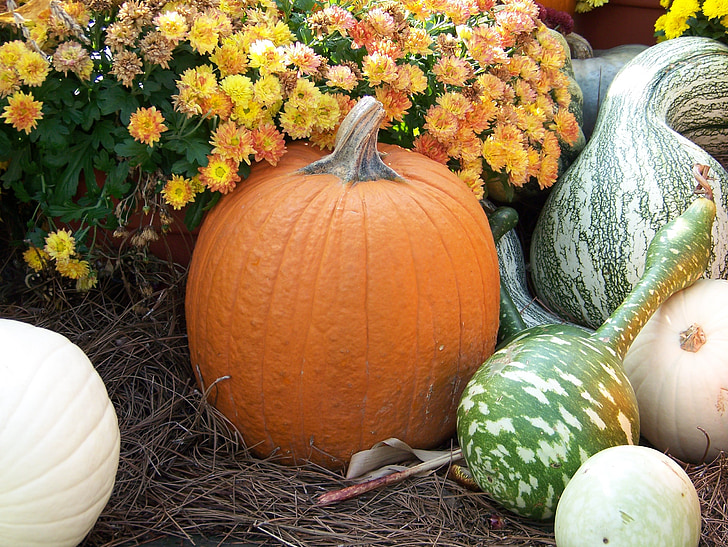 citrouille, gourdes, fleurs, Hay, l’automne, automne, Halloween