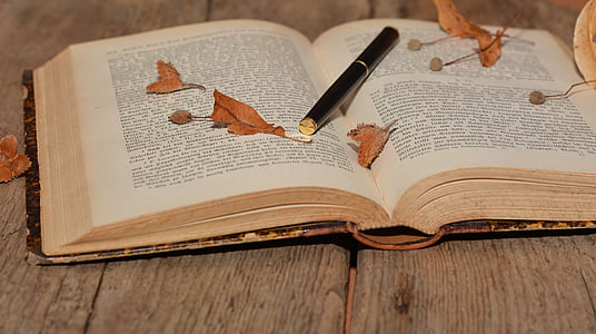 knjiga, pisave, stari, pero, lesa, blizu