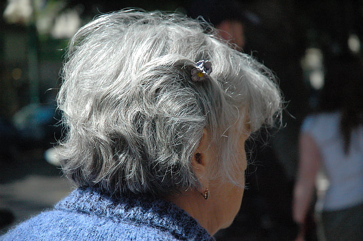 donna, Senior, cittadini, donna, testa, capelli, grigio