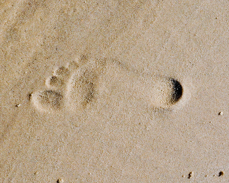 footprint, sandy, beaches, brown, coastal, lands, grounds