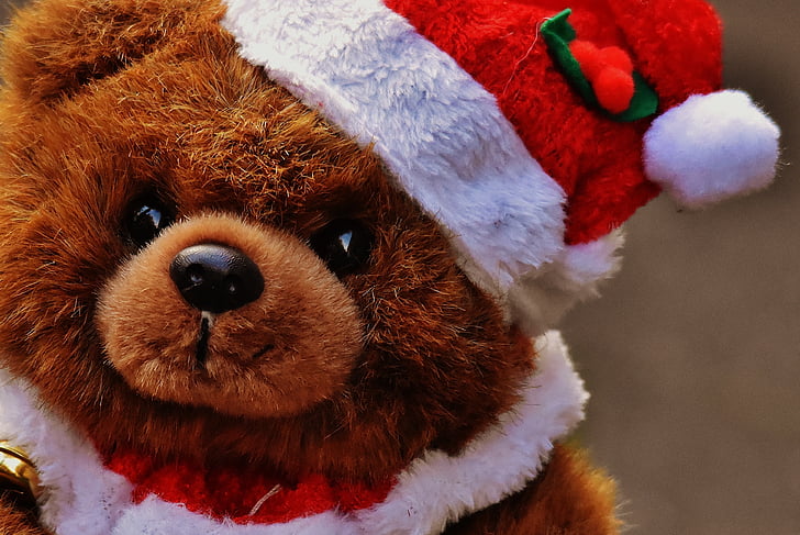 christmas, greeting card, teddy, santa hat, plush, cute, children toys