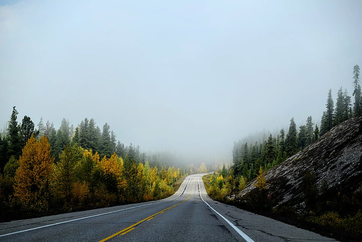 distance, drive, foggy, forest, hill, road, sky