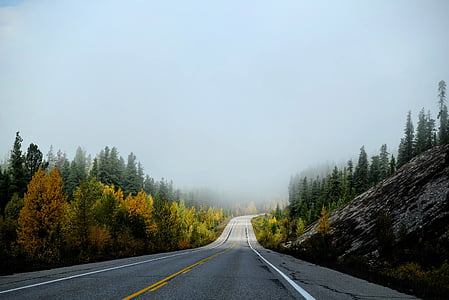 distancia, en coche, hay niebla, bosque, colina, carretera, cielo
