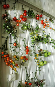 番茄, 西红柿, 墙上, 红色, 绿色, 收获, 食品