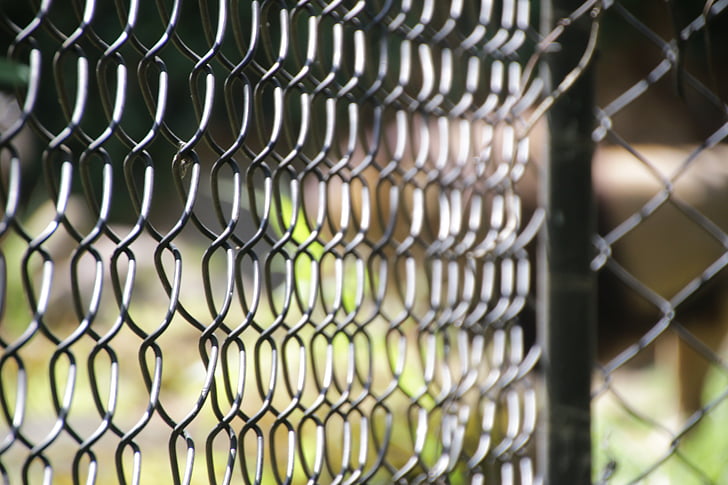 Cage, Caged, Zoo, chainlink staket, idrott, skydd, närbild