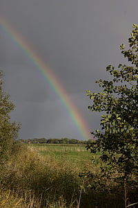 rainbow, rain, weather, sky, clouds, natural phenomenon, color