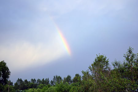 Rainbow, färgglada, mörka moln, träd