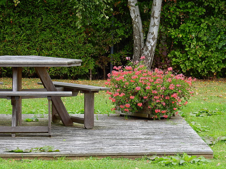 Таблиця, квіти, місце відпочинку, Деревина, дерев'яний стіл, дерев'яні лавки, Природа