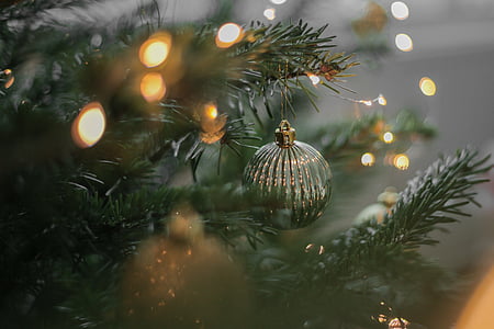 Silver, Bauble, Christmas, arbre, lumières, Ball, décor