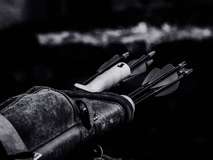 Free photo: archery, arrows, close-up, hd wallpaper, quiver, weapon, no  people | Hippopx