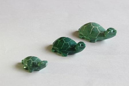 sköldpadda, hantverk, dekoration, sköldpaddor