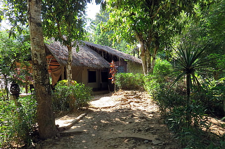 Laos, Hooglanden, KaMu lodge, Paillotte thuis, primaire woud, het platform, huis