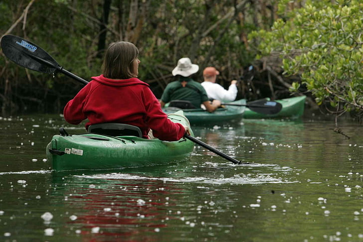 nature, vierges, eaux, calme, kayak, canoë-kayak, sport