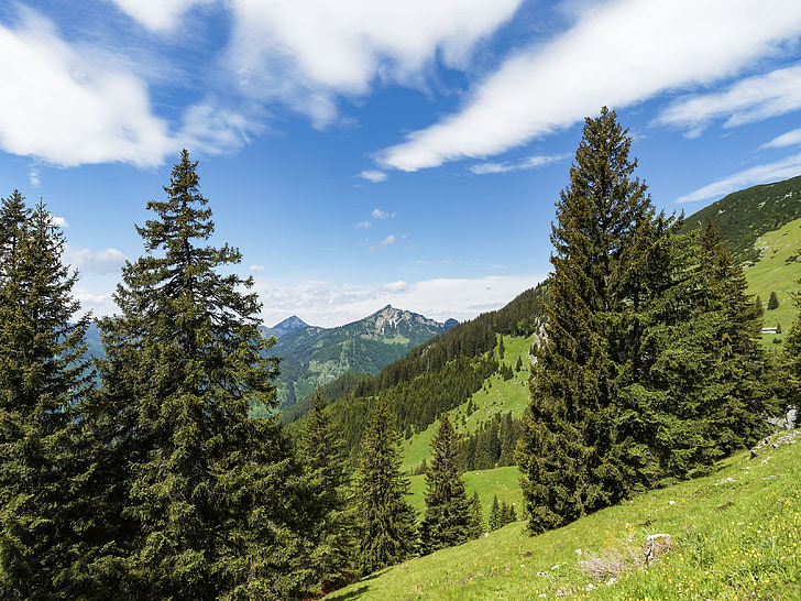 góry, krajobrazy, Alpy, Natura, Tyrol, Austria, pastwiska