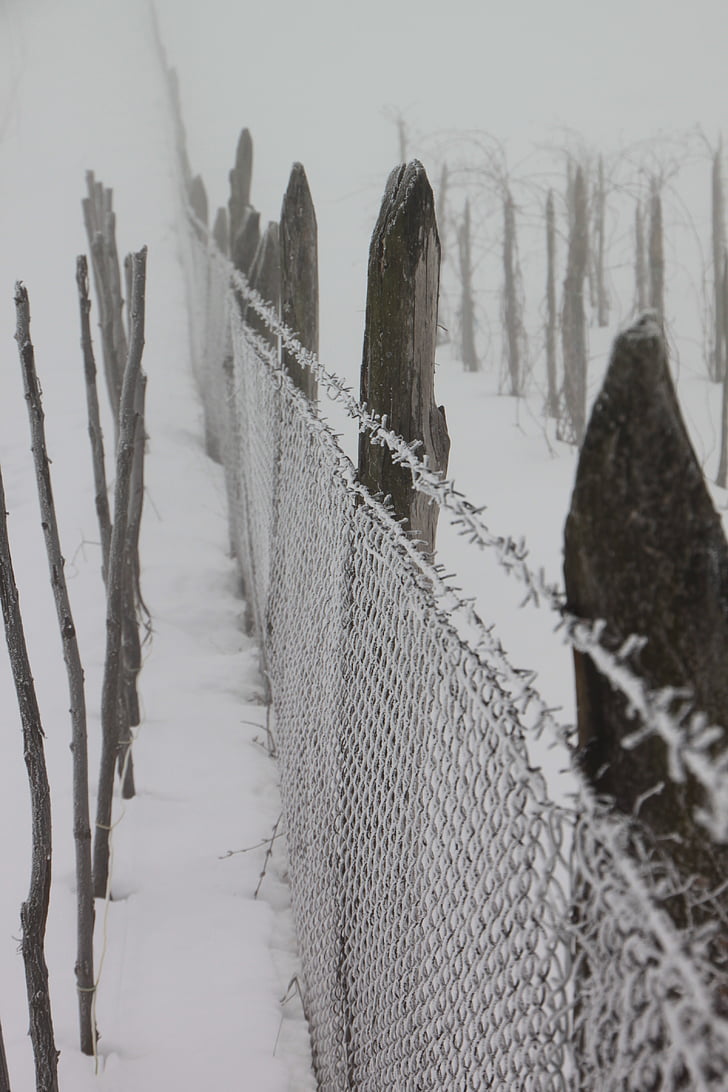 cold, fence, frozen, iron, white, wire, winter