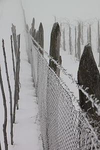 freddo, recinzione, congelati, Ferro da stiro, bianco, filo, inverno