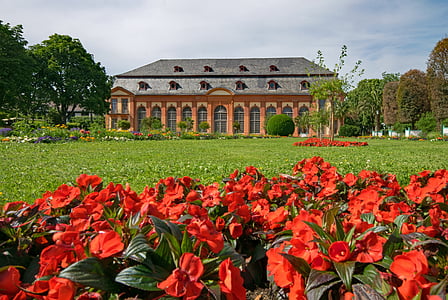 θερμοκήπιο πορτοκαλιών, αρχιτεκτονική, λουλούδια, σημεία ενδιαφέροντος, κτίριο, Ντάρμσταντ, Έσση