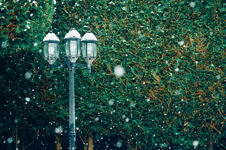 Taman, di luar rumah, musim, salju, lampu jalan, pohon, lampu listrik