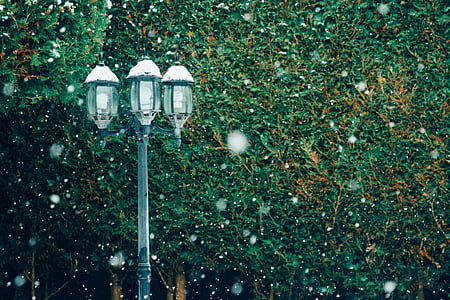 sodas, lauke, sezono metu, sniego, gatvės žibintas, medžiai, elektros lemputė