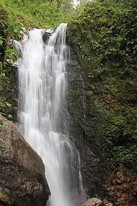 cascada, Costa rica, vacances, Selva, Amèrica central, Selva, tropical