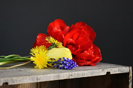 kwiaty, tulipany, bukiet kwiatów, drewnianej skrzyni, mniszek lekarski, bukiet
