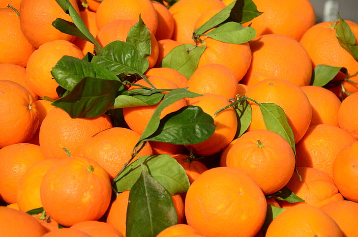 портокали, плодове, цитрусови плодове, местен пазар на земеделските производители