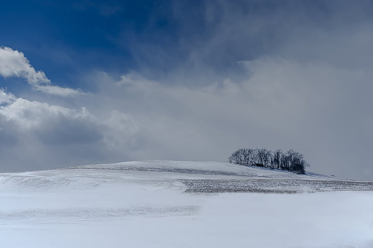 clouds, cold, nature, sky, snow, trees, winter