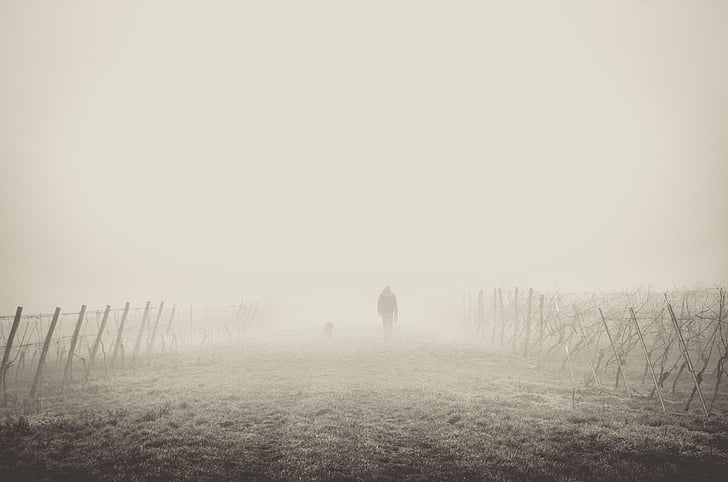 man, walking, dessert, fog, foggy, nature, people