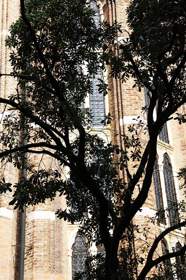 дерево, Церковь, тень