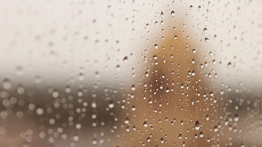 water, dew, closeup, photography, rain, drops, wet