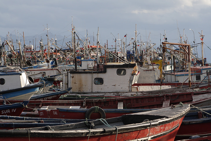 Puerto natales, båter, fiskere, port, fisker, turisme, fiske