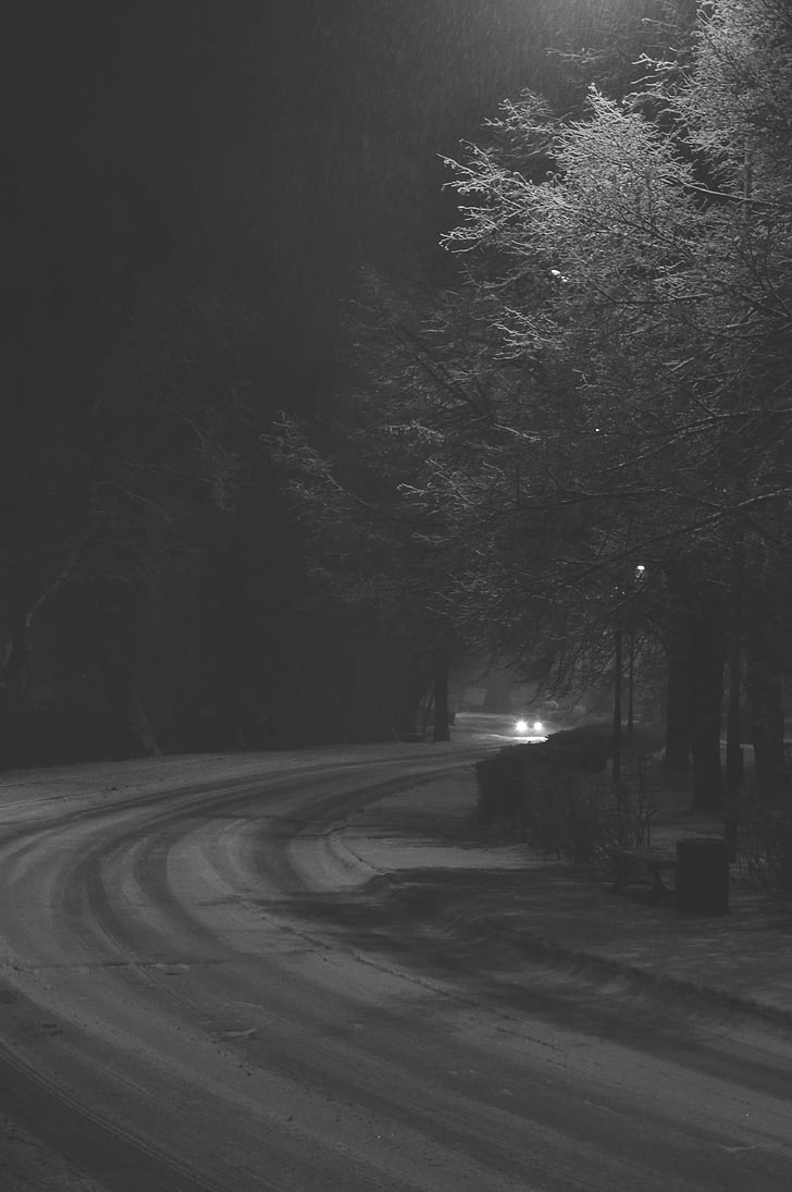 black-and-white, blur, car, dark, evening, fog, guidance