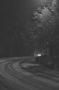 svartvit, oskärpa, bil, mörka, kvällen, dimma, vägledning