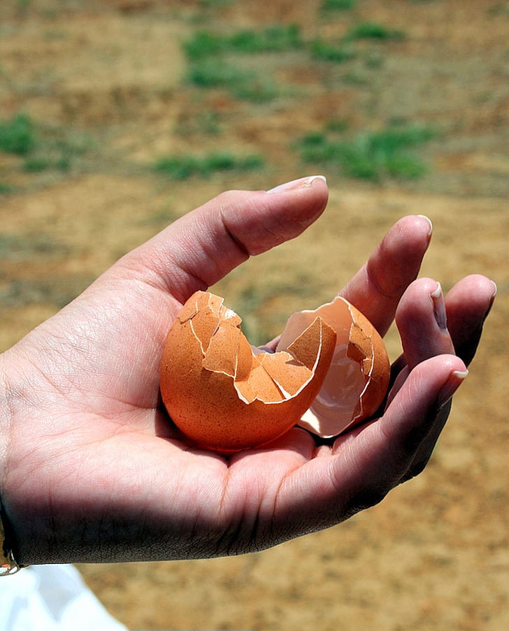 porušených vajec, zlomený, nevyužité, jídlo
