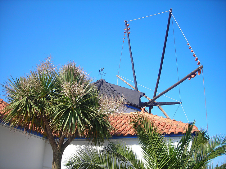 moinho de vento, Sul, telhado, Portugal, jardim, Yucca