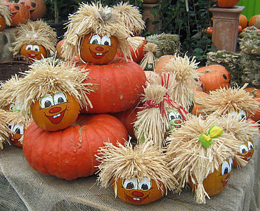 pumpkin, gourd, harvest, thanksgiving, colorful, red, brown