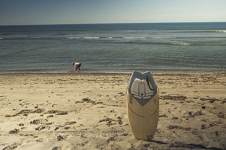 prancha de surf, surf, praia, areia, oceano, mar, Costa
