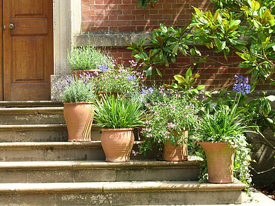 plants, pots, terracotta, plant pot, flowers, steps, garden