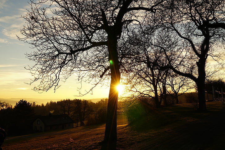 Západ slunce, abendstimmung, strom, Příroda, venku, soumraku, sluneční světlo
