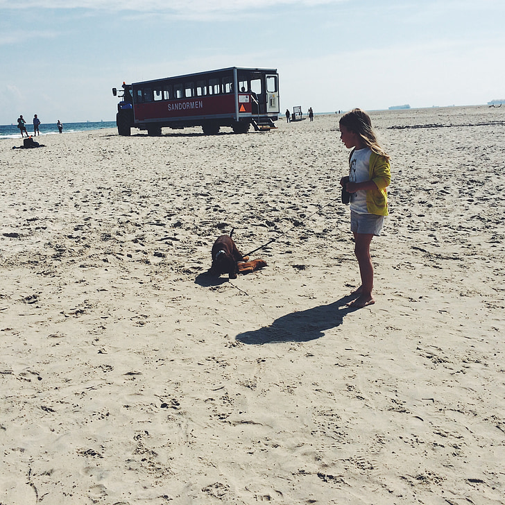 собака, пляж, ПЕТ, пісок, море, щеня, Щасливий